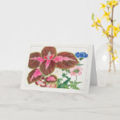 Coleus, Verbena door Tanigami Konan Kaart (Gele Bloem)