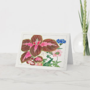 Coleus, Verbena door Tanigami Konan Kaart