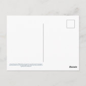 Colias Statira Butterfly Briefkaart (Achterkant)