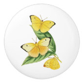 Colias Statira Butterfly Keramische Knop (Voorkant)