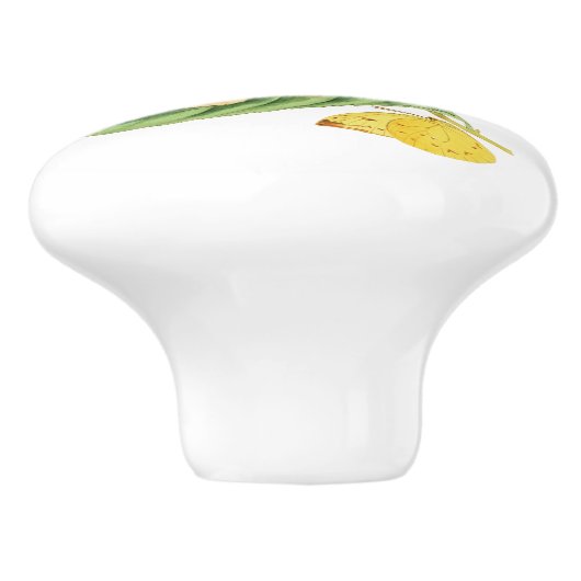 Colias Statira Butterfly Keramische Knop (Zijkant)