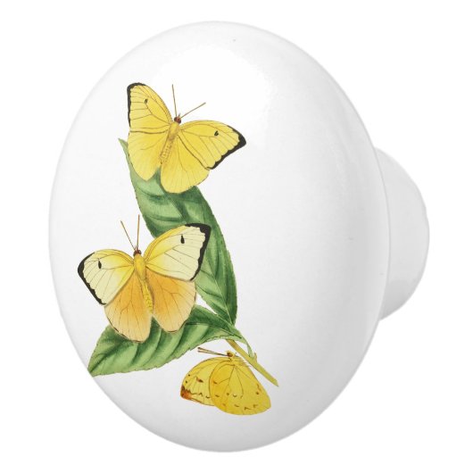 Colias Statira Butterfly Keramische Knop (Rechts)