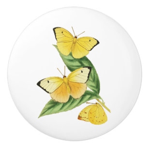 Colias Statira Keramische Knop