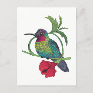 Colibri Bird Illustration Briefkaart