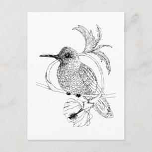 Colibri Bird Illustration Briefkaart
