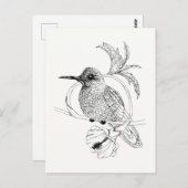 Colibri Bird Illustration Briefkaart (Voorkant / Achterkant)