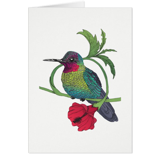 Colibri Bird Illustration Kaart (Voorkant)