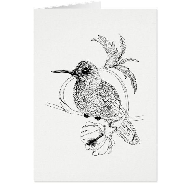 Colibri Bird Illustration Kaart (Voorkant)