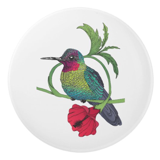 Colibri Bird Illustration Keramische Knop (Voorkant)