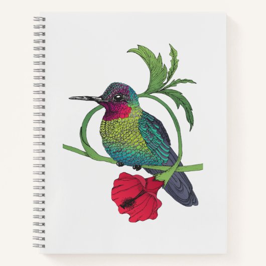 Colibri Bird Illustration Notitieboek (Voorkant)