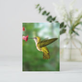 Colibri De Oro República Dominicana Briefkaart (Staand voorkant)