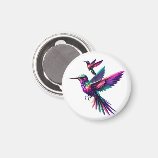 Colibrí prisma multicolor magneet (Voorkant / Achterkant)
