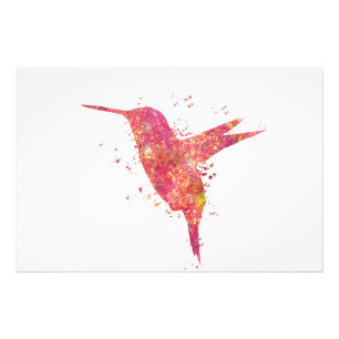 Colibri Vogels Bos Wild Nature Wereld Land V Foto Afdruk