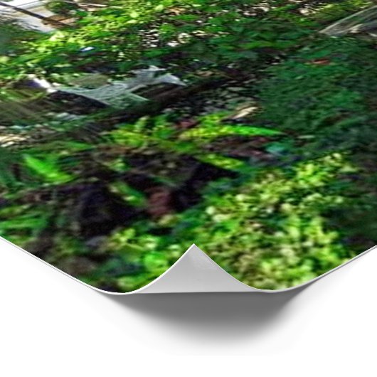 Colima, Mexico 14 x 11-inch Poster (Hoek)