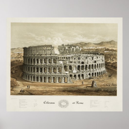 Coliseum in Rome Poster (Voorkant)