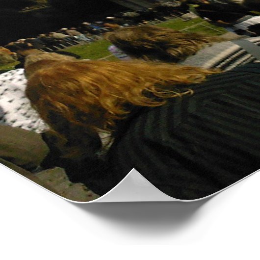 coliseum poster (Hoek)