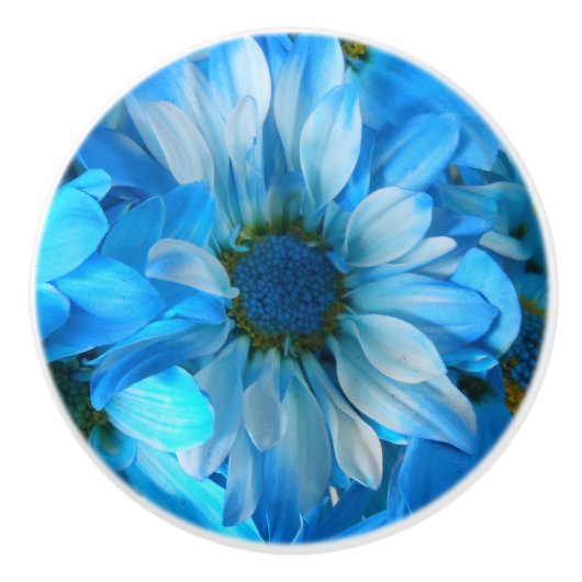 Collaert Keramische Knop (Voorkant)