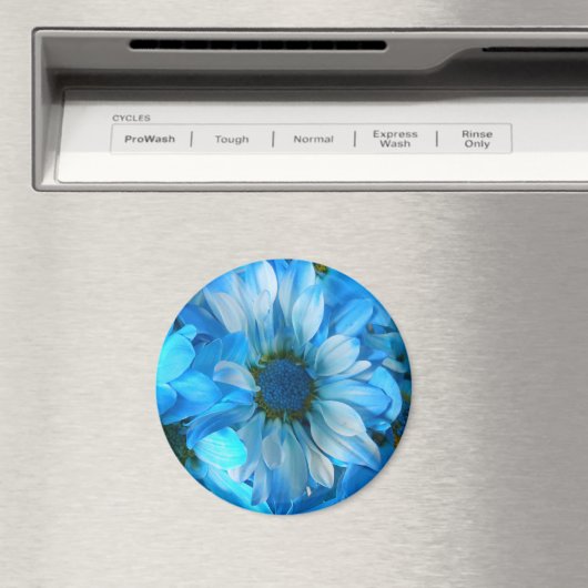 Collaert Magneet (Insitu (Vaatwasser))