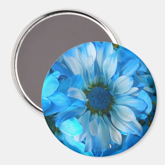 Collaert Magneet (Voorkant / Achterkant)