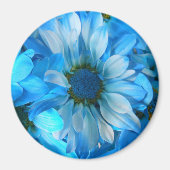 Collaert Magneet (Voorkant)