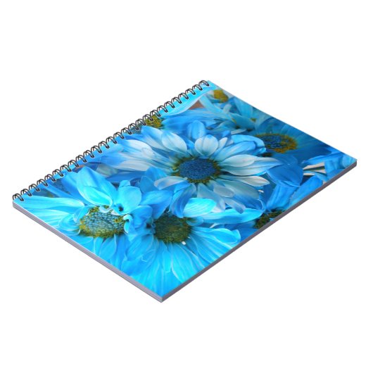 Collaert Notitieboek (Linkerzijde)