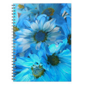 Collaert Notitieboek (Voorkant)