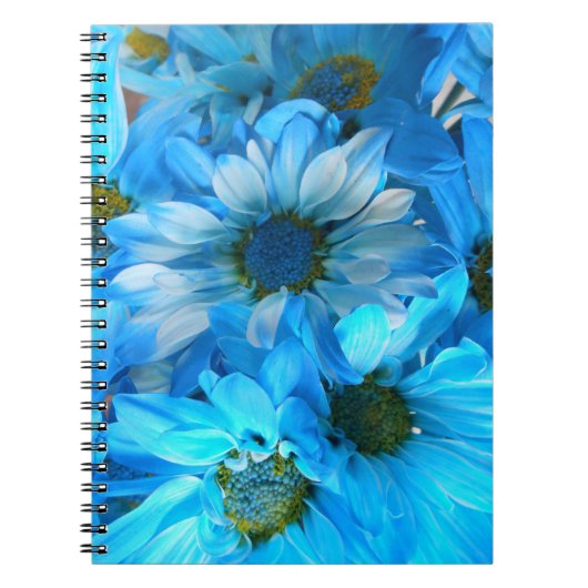 Collaert Notitieboek (Voorkant)