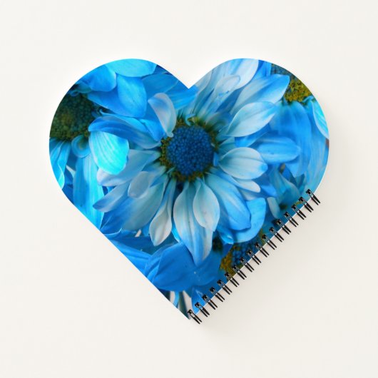 Collaert Notitieboek (Achterkant)