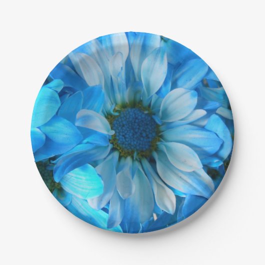 Collaert Papieren Bordje (Voorkant)