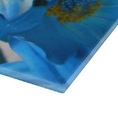 Collaert Snijplank (Hoek)