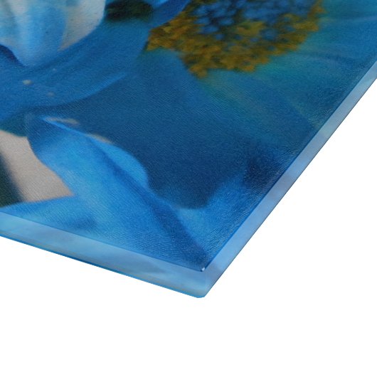 Collaert Snijplank (Hoek)