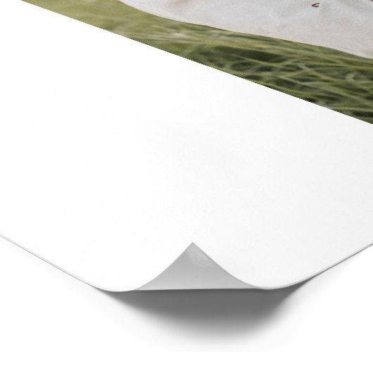 Collage Couple Photo en alles wat u nodig hebt is  Poster (Hoek)