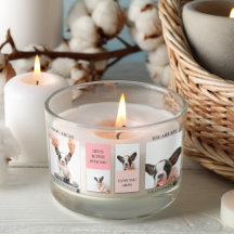 Collage Dog Foto's | De hond is mijn Valentijnse |