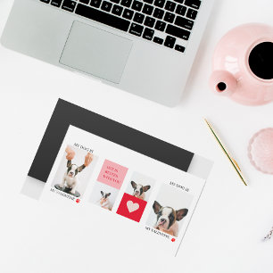 Collage Dog Foto's   Mijn hond is mijn Valentijn