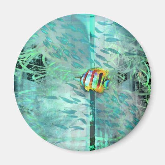 Collage engel vis zwemt in een school van blauwe v magneet (Voorkant)