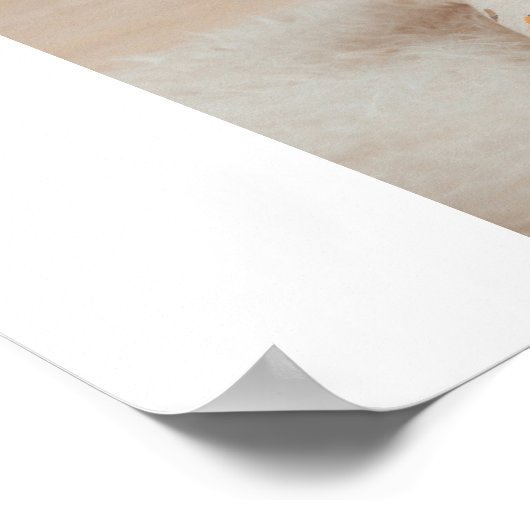 Collage foto's en beste grootmoeder ooit poster (Hoek)