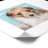 Collage foto's foto's foto's 18 montag keepomwille poster (Hoek)