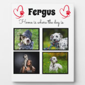 Collage - hondenfoto aangepaste herinnering fotoplaat (Voorkant)