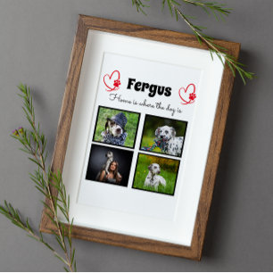 Collage - hondenfoto aangepaste herinnering fotoplaat