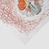 Collage Jellyfish Pattern Ontvlechting Tissuepapier (Detail)