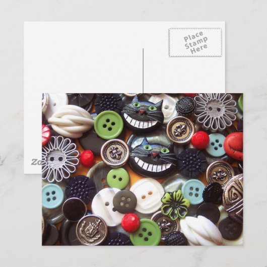 Collage met Black Cheshire Cat Buttonnen Briefkaart (Voorkant / Achterkant)