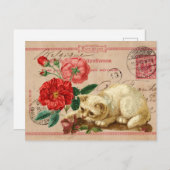 collage met na de kruising katten en bloemen briefkaart (Voorkant / Achterkant)