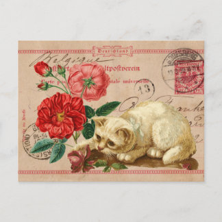  collage met na de kruising katten en bloemen briefkaart