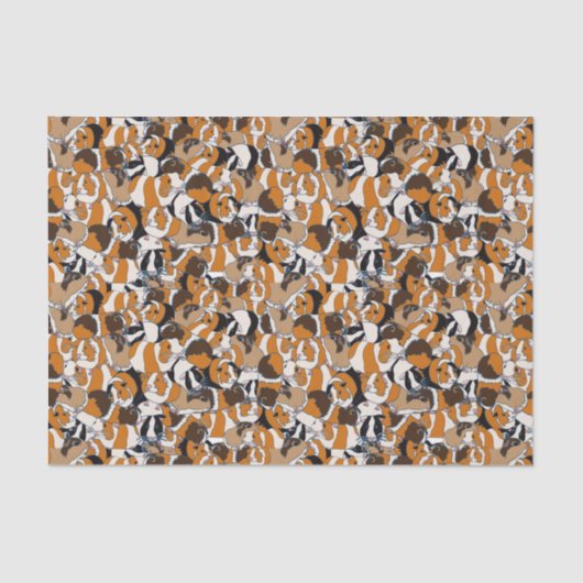 Collage of Guinee Pigs Illustrations Patterned Tissuepapier (Voorkant)