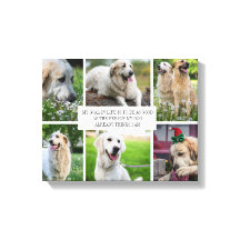 Collage Pets Foto Modern Dog Quote Canvas