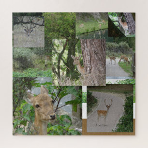 Collage Puzzle: Deer dikker Legpuzzel