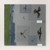 Collage Puzzle: Eemnes Polder BIRD OF PREY Legpuzzel (Horizontaal)