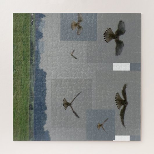 Collage Puzzle: Eemnes Polder BIRD OF PREY Legpuzzel (Horizontaal)