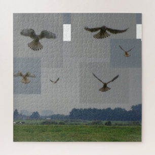 Collage Puzzle: Eemnes Polder BIRD OF PREY Legpuzzel