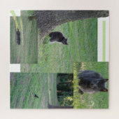 Collage Puzzle: Katten in actie Legpuzzel (Horizontaal)